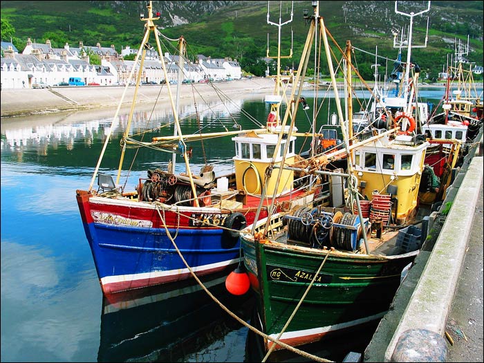 Fishingboats in the harbour 